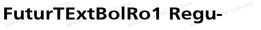 FuturTExtBolRo1 Regu字体转换